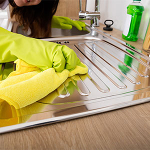 Stainless Steel Cleaner