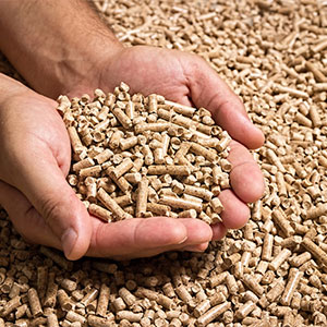 Wood Pellets