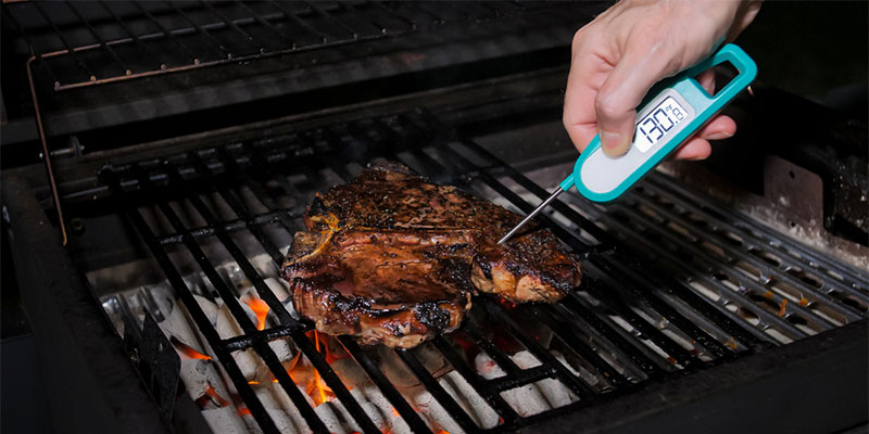 How To Use An Instant Read Digital Meat Thermometer